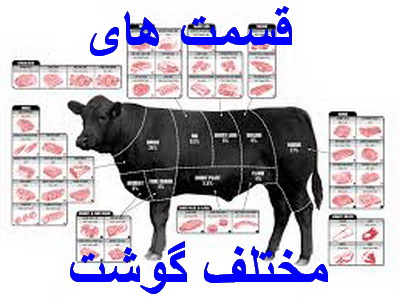 قسمت های (برش) گوشت گاو و گوسفند